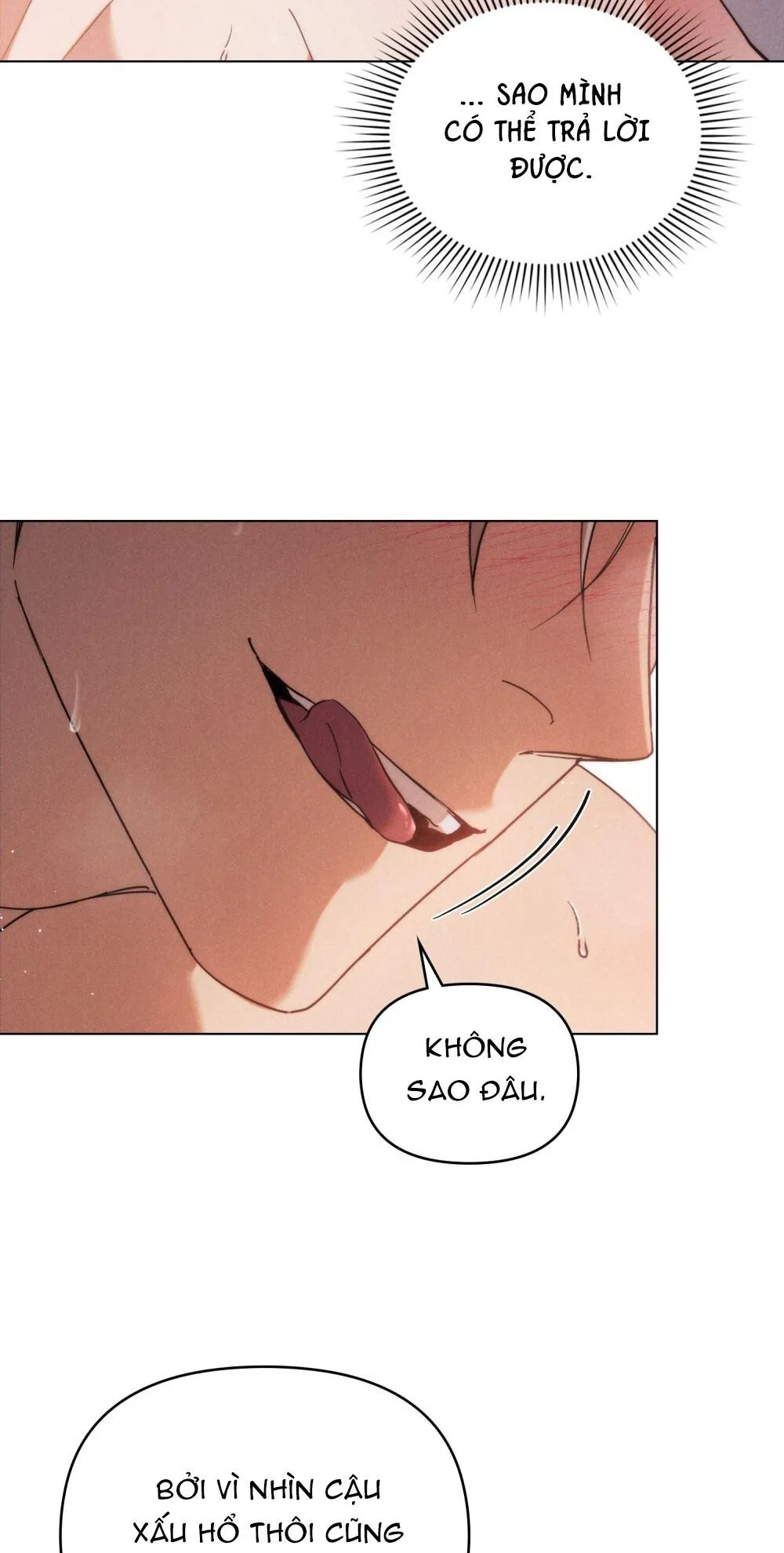 NGƯỜI TÌNH BÍ MẬT Chapter 12 Trang 11