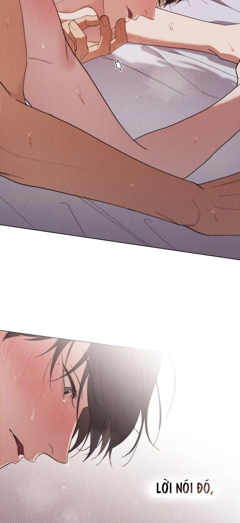 NGƯỜI TÌNH BÍ MẬT Chapter 12 Trang 14