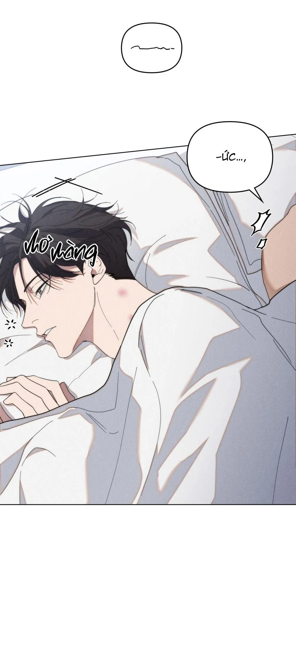 NGƯỜI TÌNH BÍ MẬT Chapter 12 Trang 19