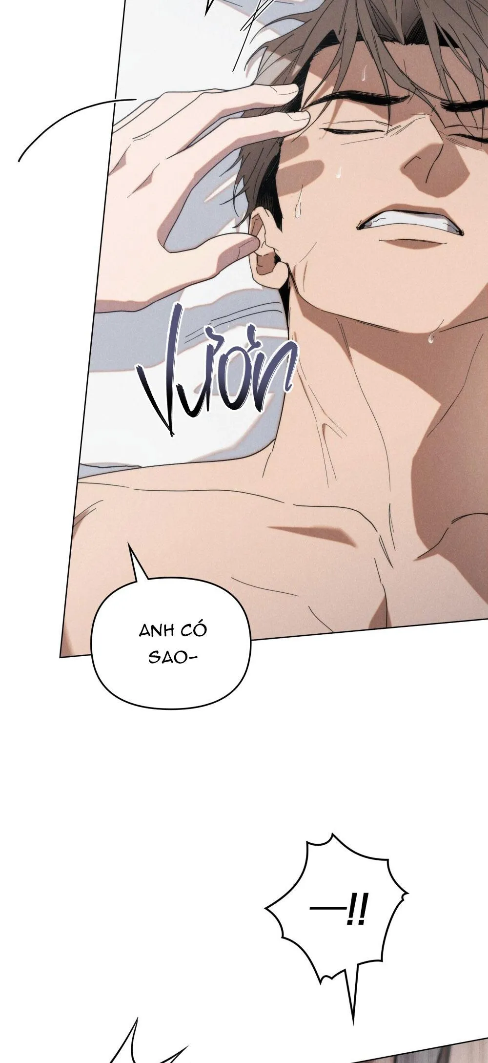 NGƯỜI TÌNH BÍ MẬT Chapter 12 Trang 21