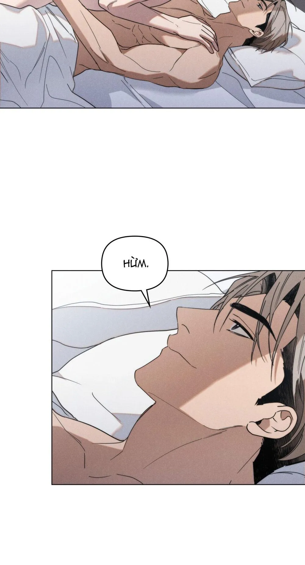 NGƯỜI TÌNH BÍ MẬT Chapter 12 Trang 34