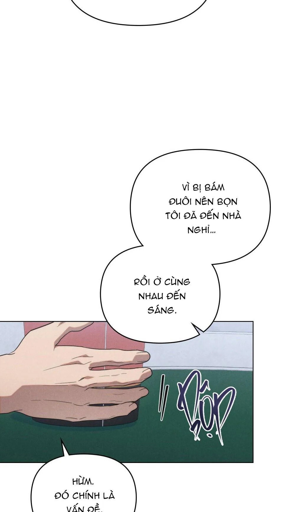 NGƯỜI TÌNH BÍ MẬT Chapter 14 Trang 14