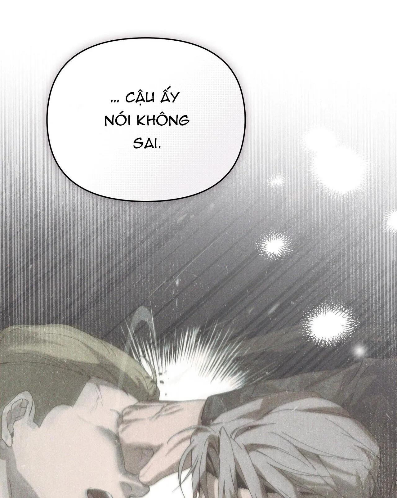 NGƯỜI TÌNH BÍ MẬT Chapter 15 Trang 15