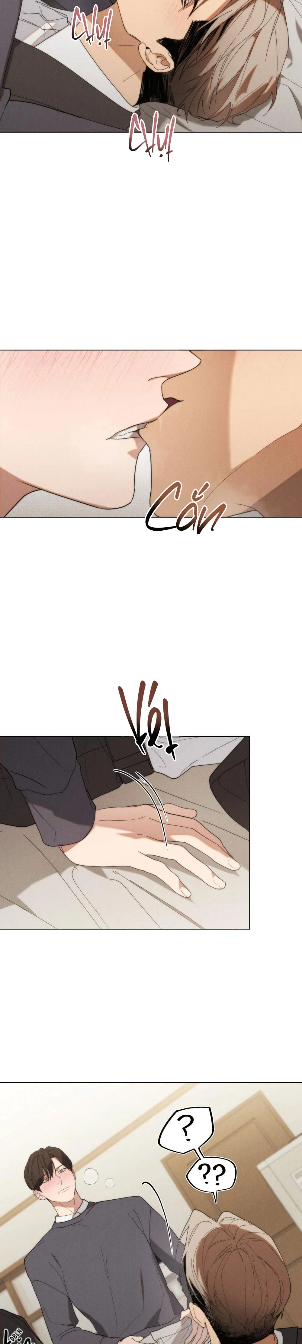 NGƯỜI TÌNH BÍ MẬT Chapter 19 Trang 3