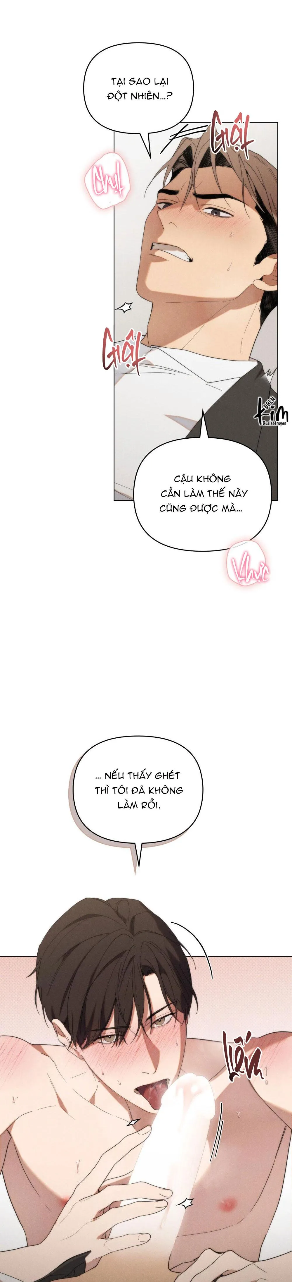 NGƯỜI TÌNH BÍ MẬT Chapter 19 Trang 12