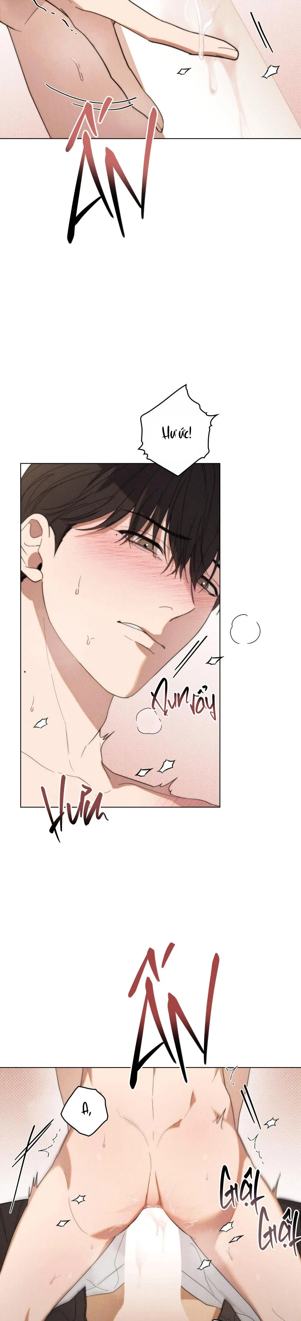 NGƯỜI TÌNH BÍ MẬT Chapter 19 Trang 14