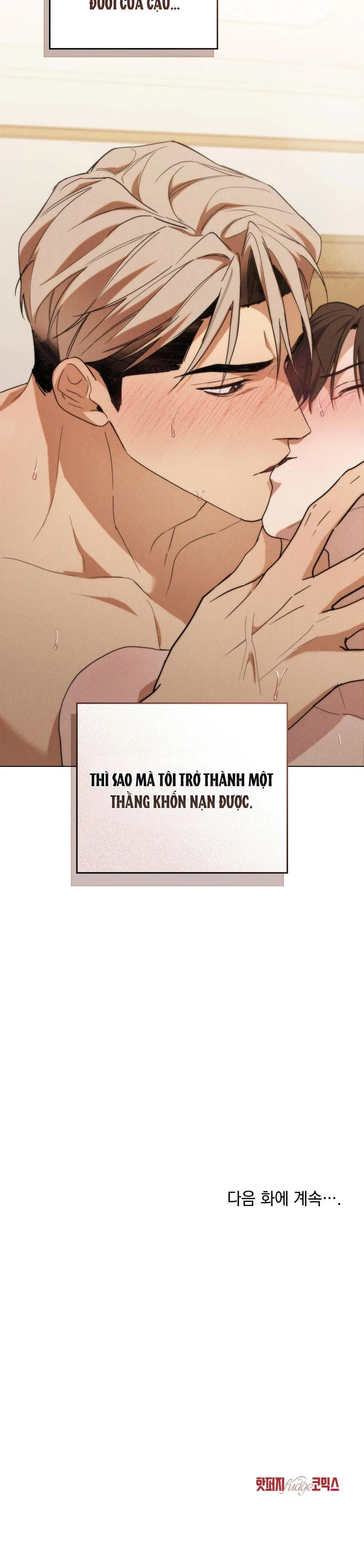 NGƯỜI TÌNH BÍ MẬT Chapter 20 Trang 17