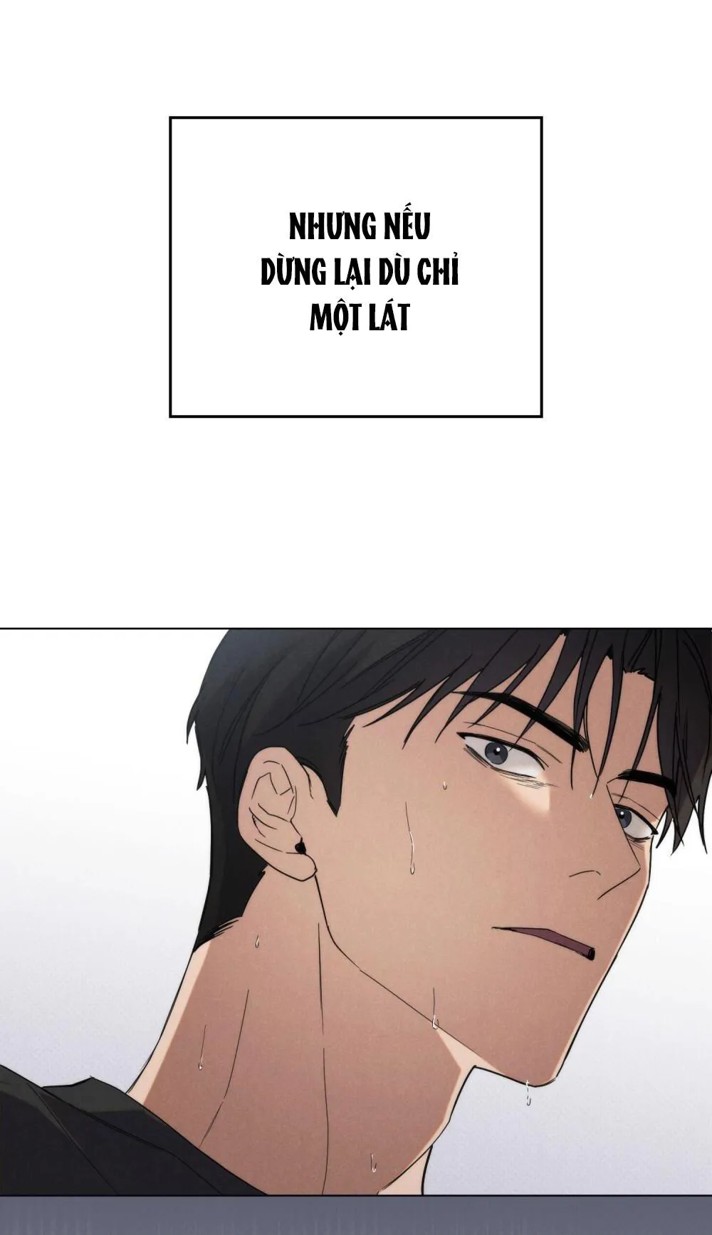 NGƯỜI TÌNH BÍ MẬT Chapter 22 Trang 14