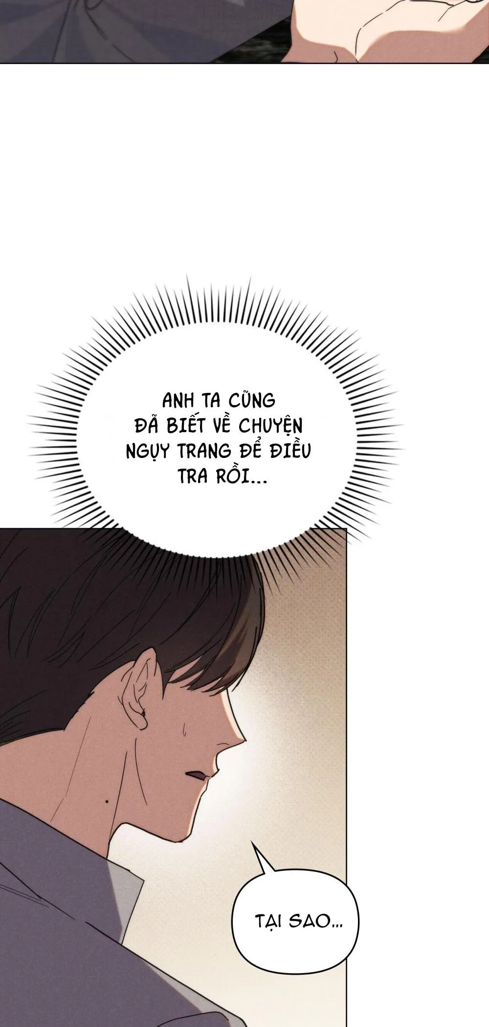 NGƯỜI TÌNH BÍ MẬT Chapter 24 Trang 15