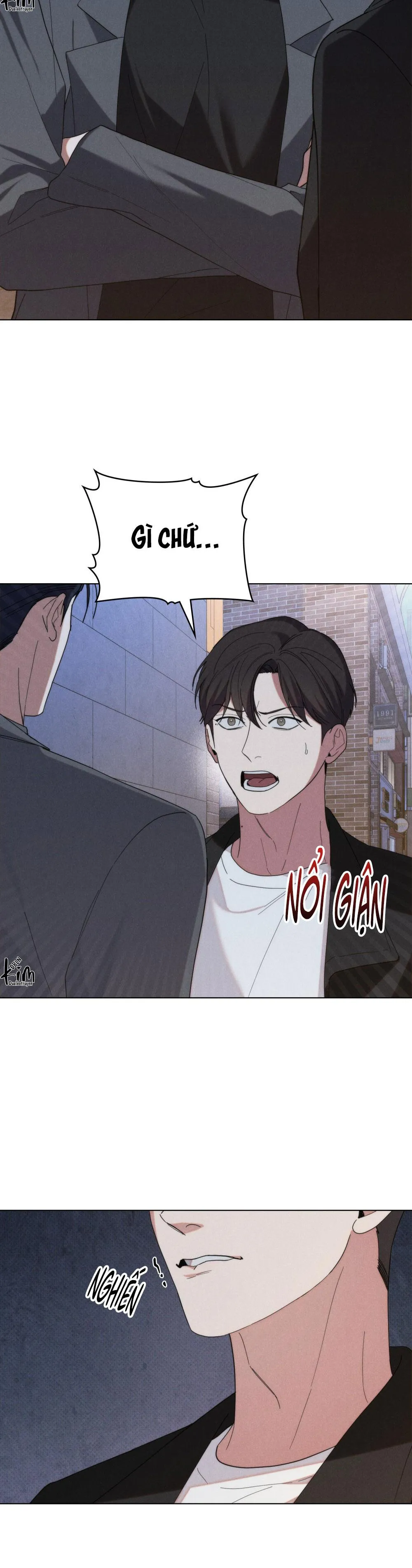 NGƯỜI TÌNH BÍ MẬT Chapter 35 Trang 12