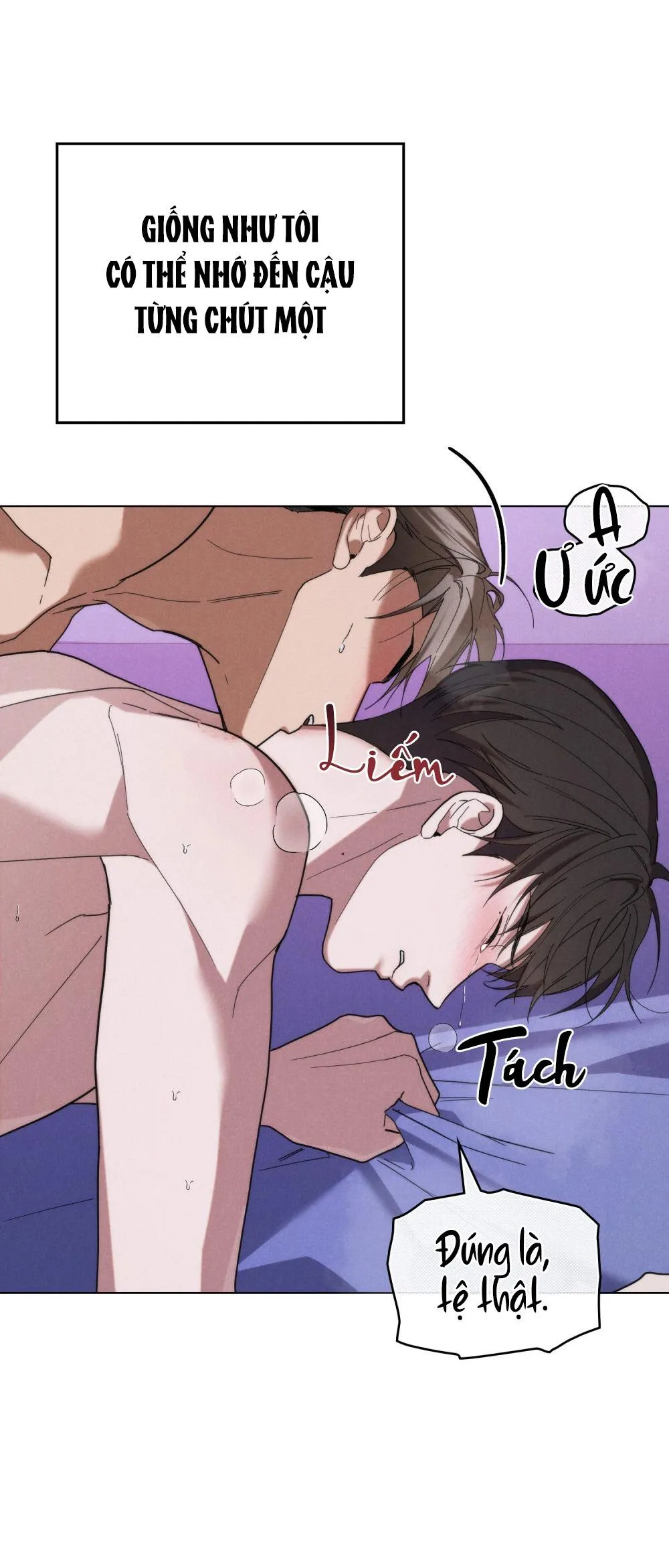 NGƯỜI TÌNH BÍ MẬT Chapter 36 Trang 26