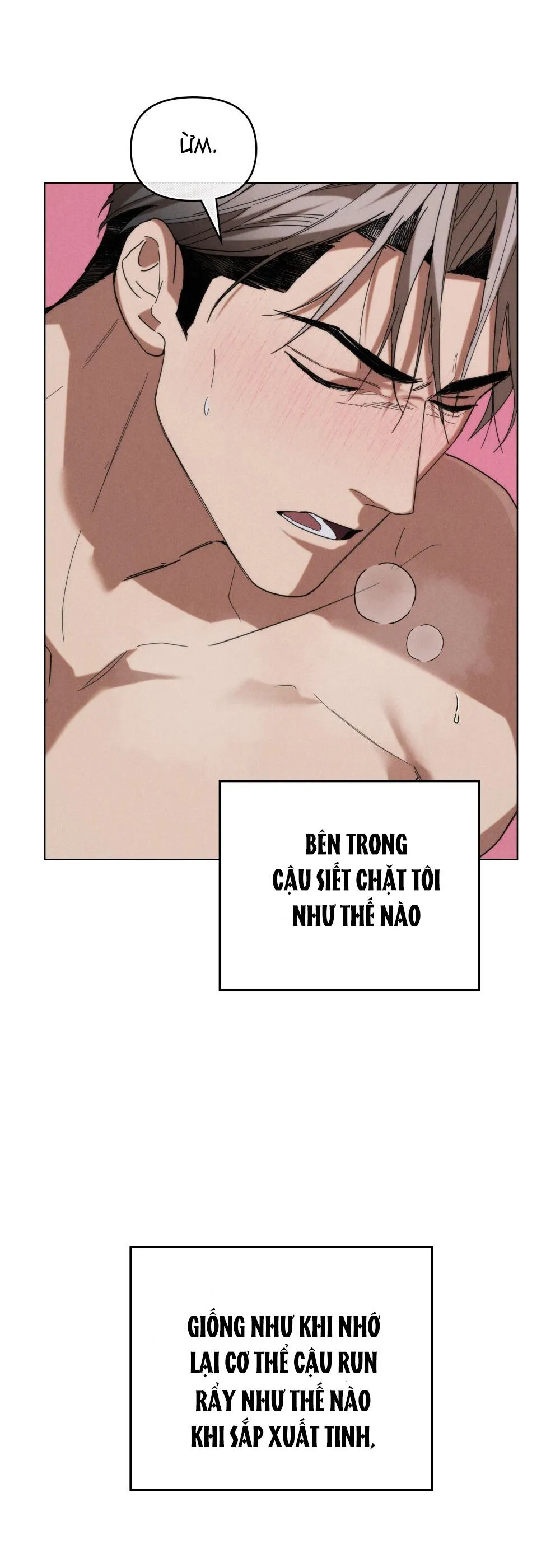 NGƯỜI TÌNH BÍ MẬT Chapter 36 Trang 29