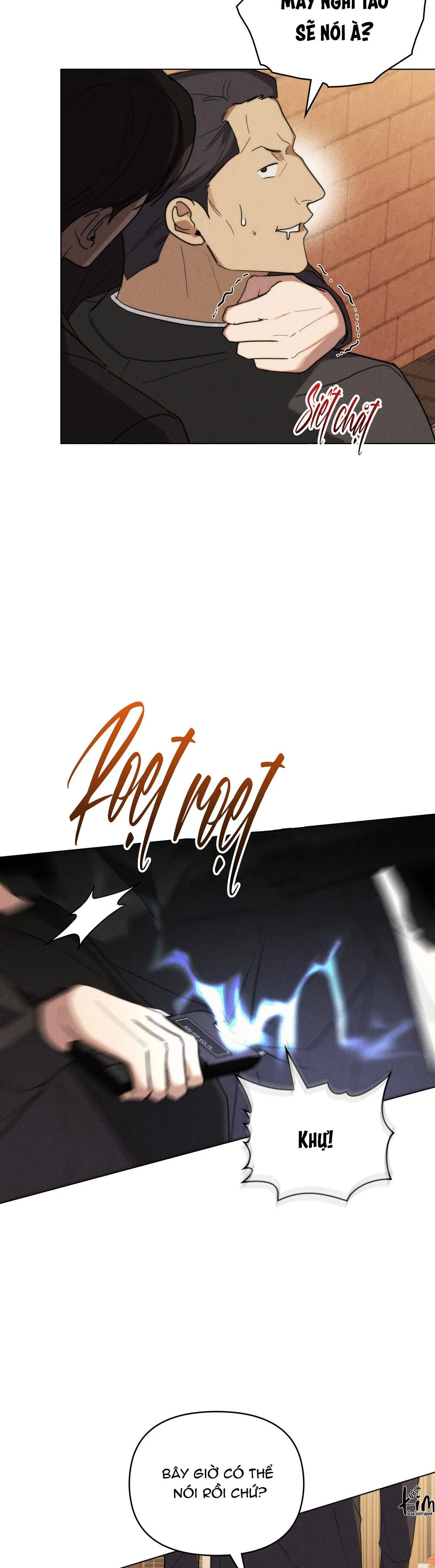 NGƯỜI TÌNH BÍ MẬT Chapter 38 Trang 14