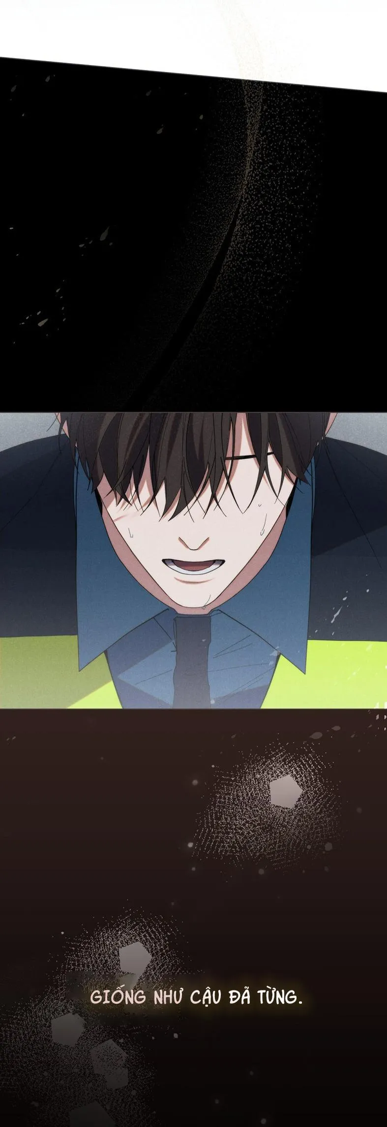 NGƯỜI TÌNH BÍ MẬT Chapter 41 Trang 15