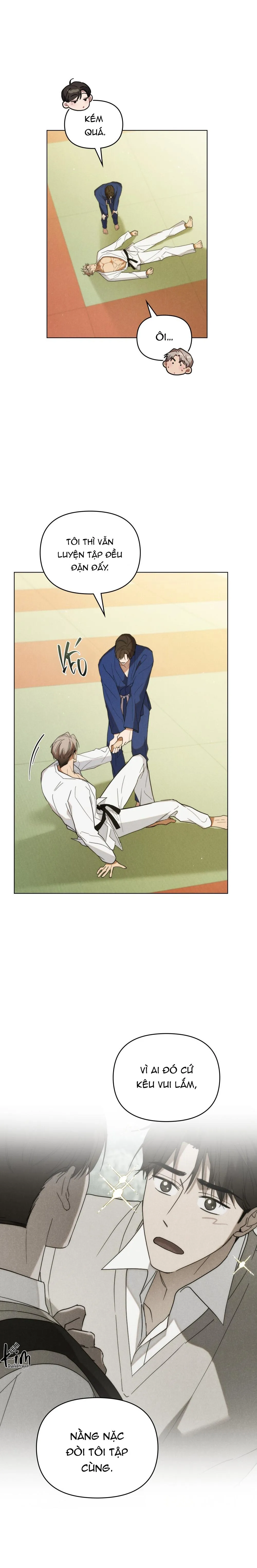 NGƯỜI TÌNH BÍ MẬT Chapter 45 Trang 17