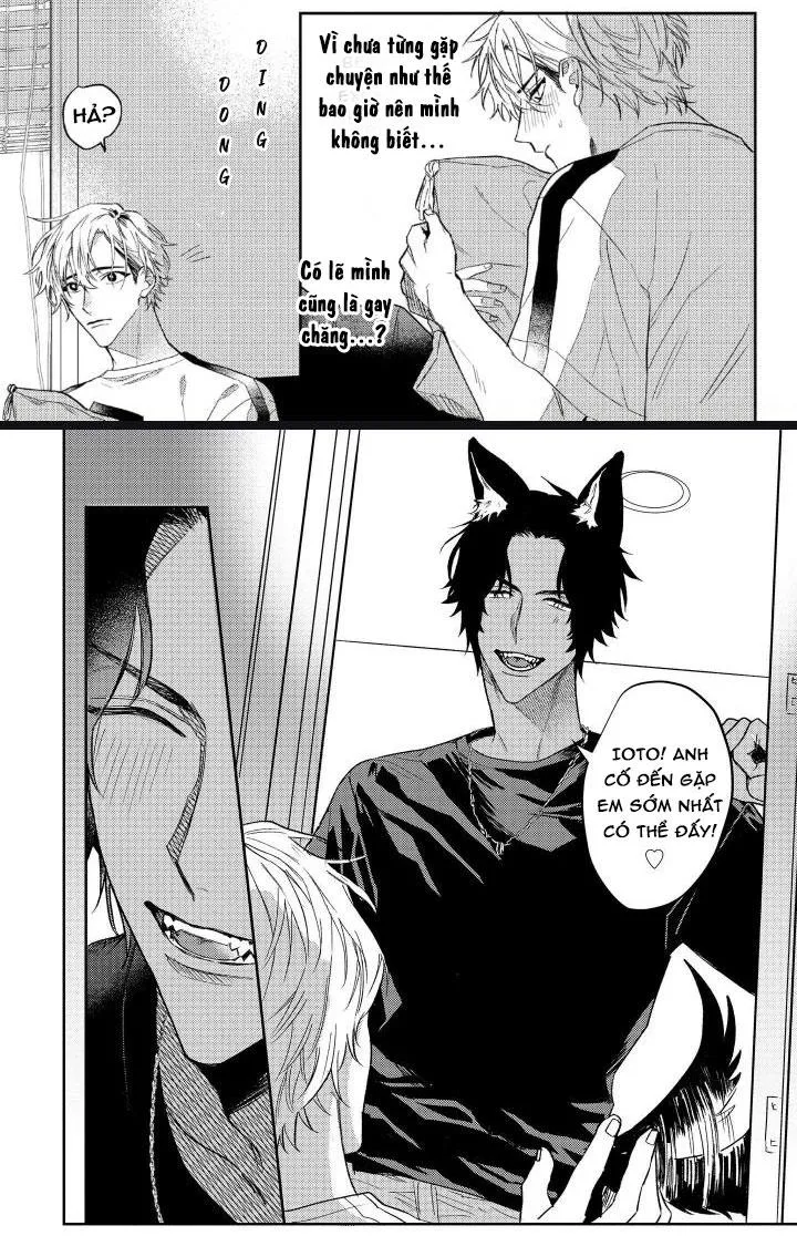 Người Tình Của Sói Chapter 2 Trang 4