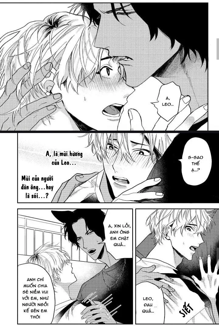 Người Tình Của Sói Chapter 2 Trang 12