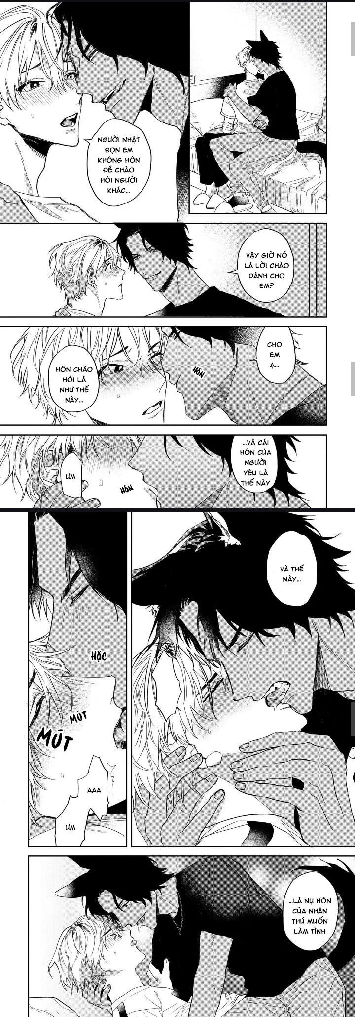 Người Tình Của Sói Chapter 2 Trang 16