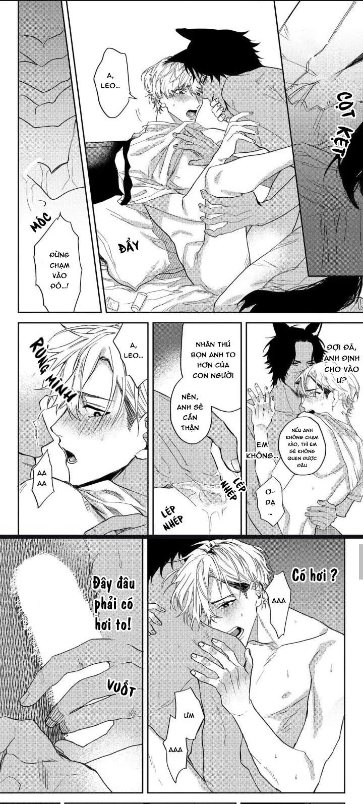 Người Tình Của Sói Chapter 2 Trang 18