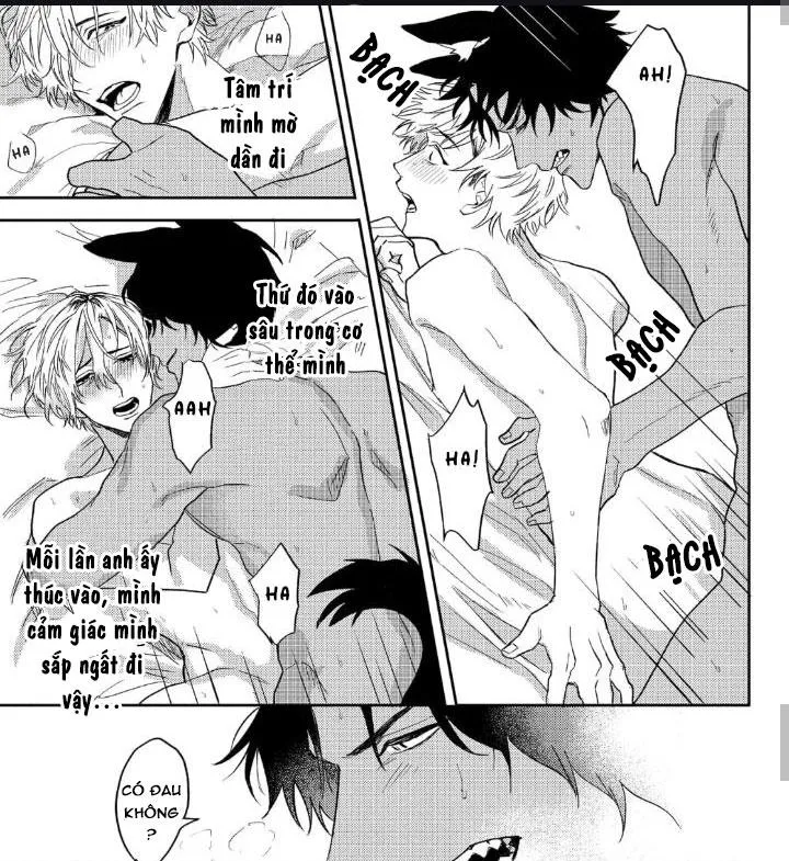 Người Tình Của Sói Chapter 2 Trang 20