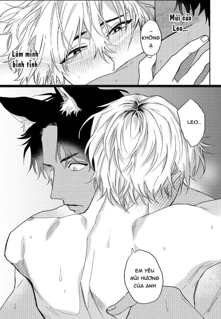 Người Tình Của Sói Chapter 2 Trang 21