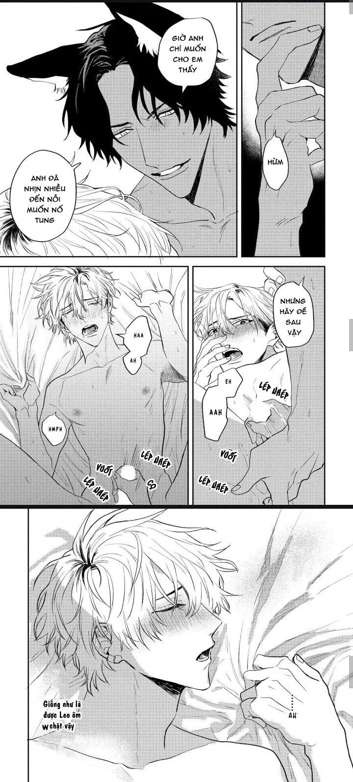 Người Tình Của Sói Chapter 3 Trang 23