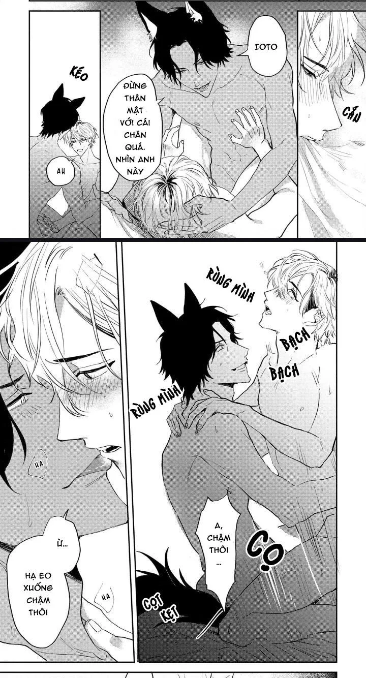 Người Tình Của Sói Chapter 3 Trang 24