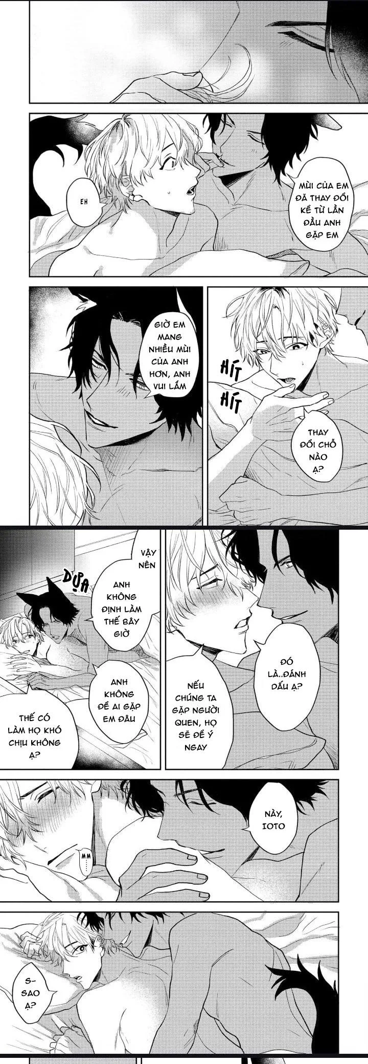 Người Tình Của Sói Chapter 3 Trang 26