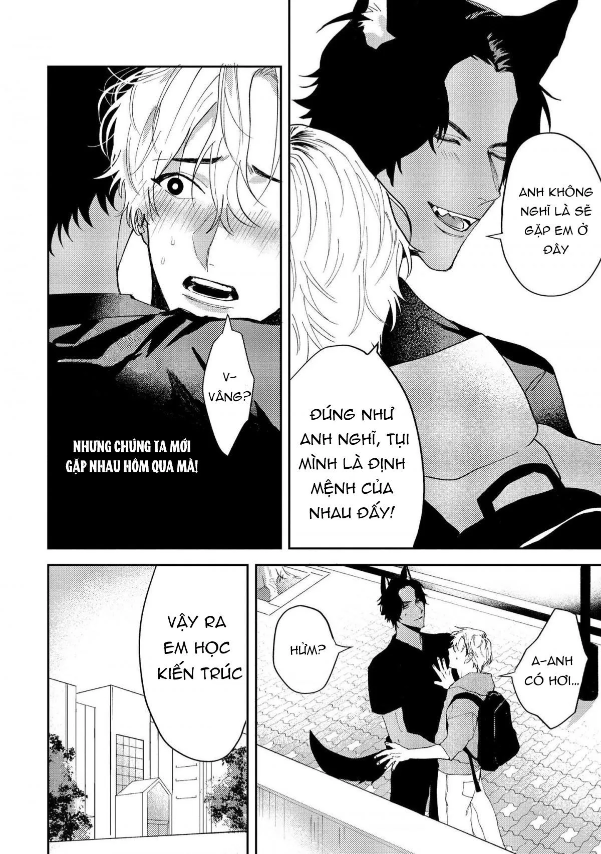 Người Tình Của Sói Chapter 1 Trang 16