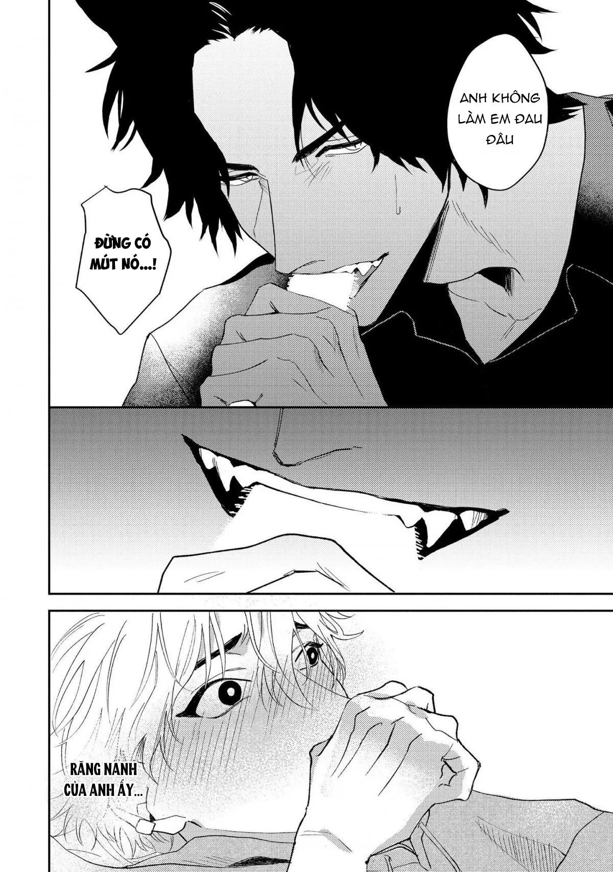 Người Tình Của Sói Chapter 1 Trang 28