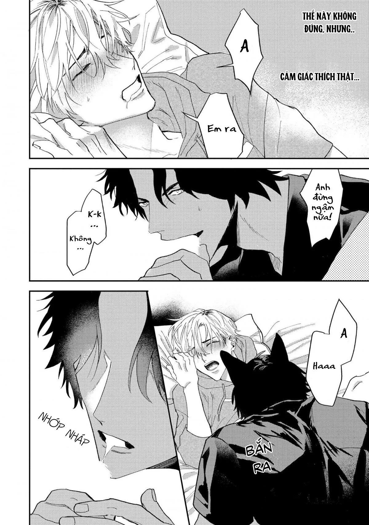 Người Tình Của Sói Chapter 1 Trang 30