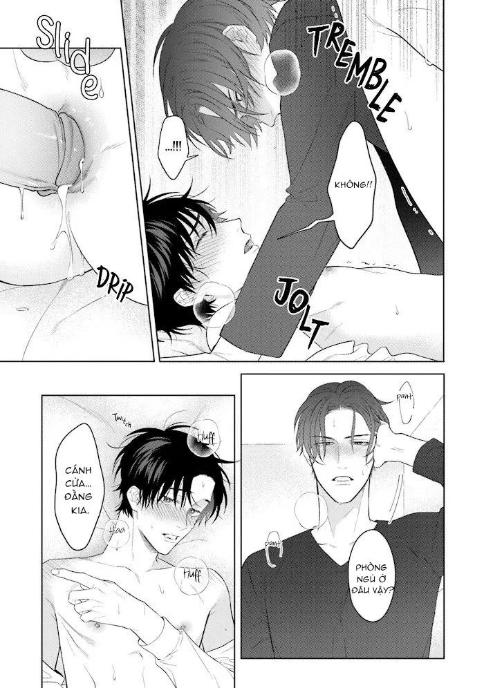 Người tình màu hồng hoàn hảo Chapter 1 Trang 36