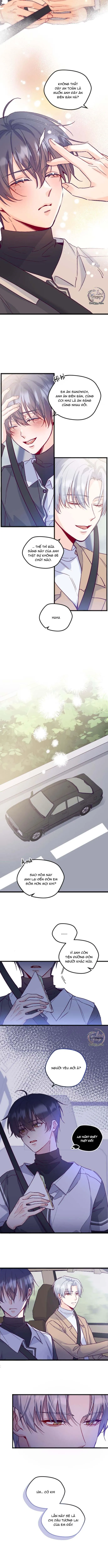 Người Tình Thế Thân Của Alpha Chapter 2 Trang 4