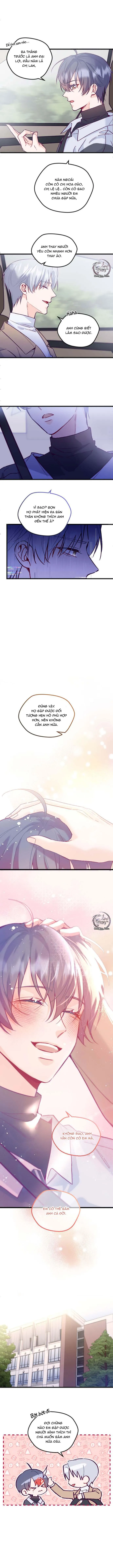 Người Tình Thế Thân Của Alpha Chapter 2 Trang 5
