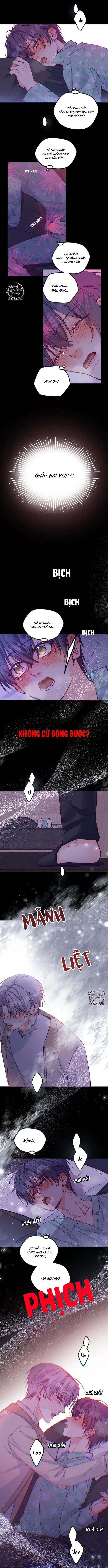 Người Tình Thế Thân Của Alpha Chapter 2 Trang 8