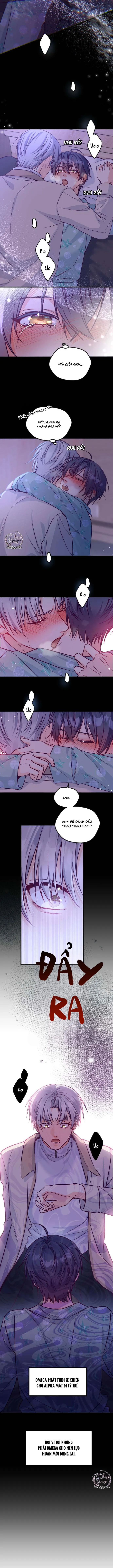 Người Tình Thế Thân Của Alpha Chapter 2 Trang 9