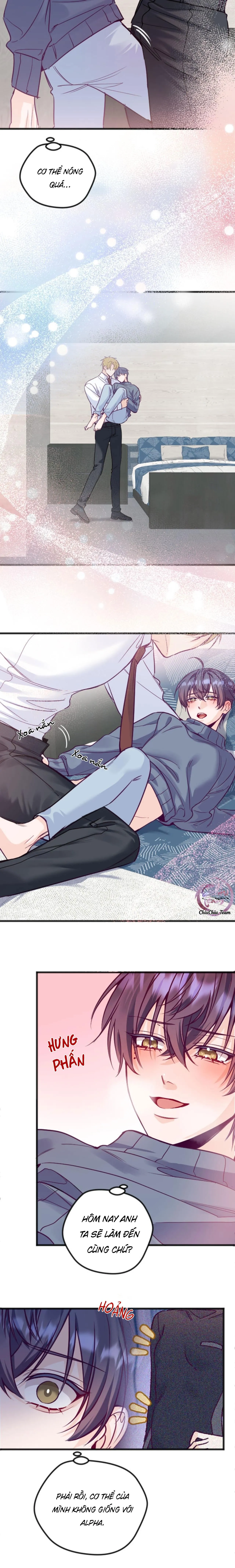 Người Tình Thế Thân Của Alpha Chapter 10 Trang 5