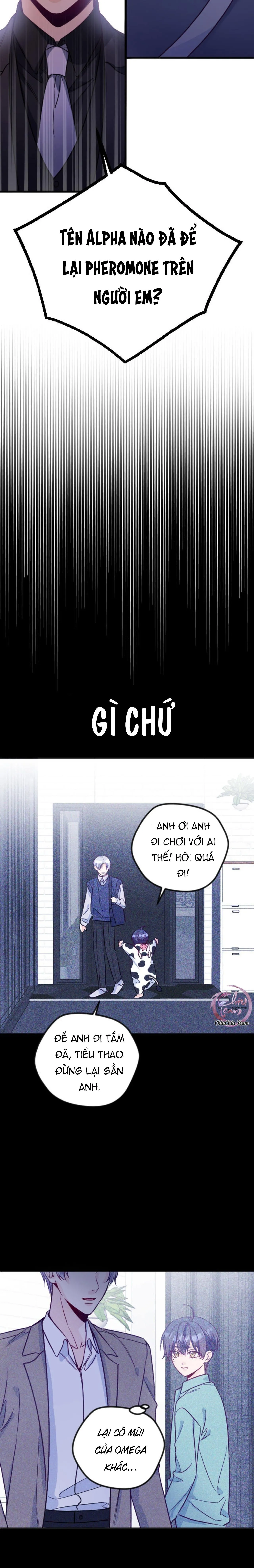 Người Tình Thế Thân Của Alpha Chapter 10 Trang 17