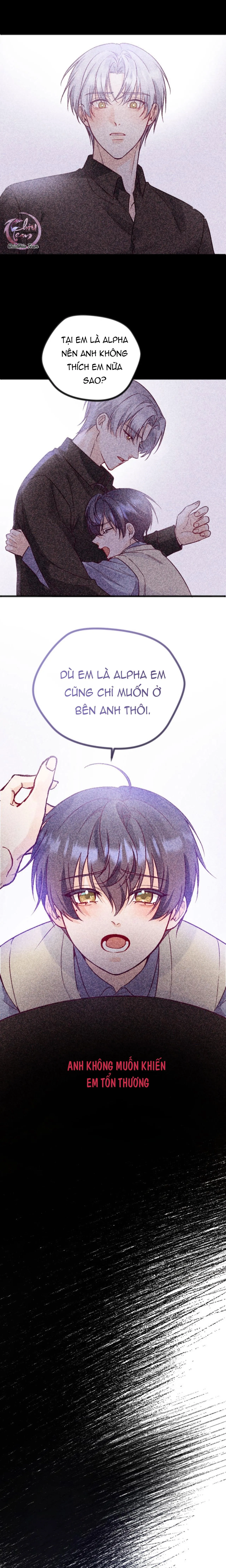 Người Tình Thế Thân Của Alpha Chapter 11 Trang 5