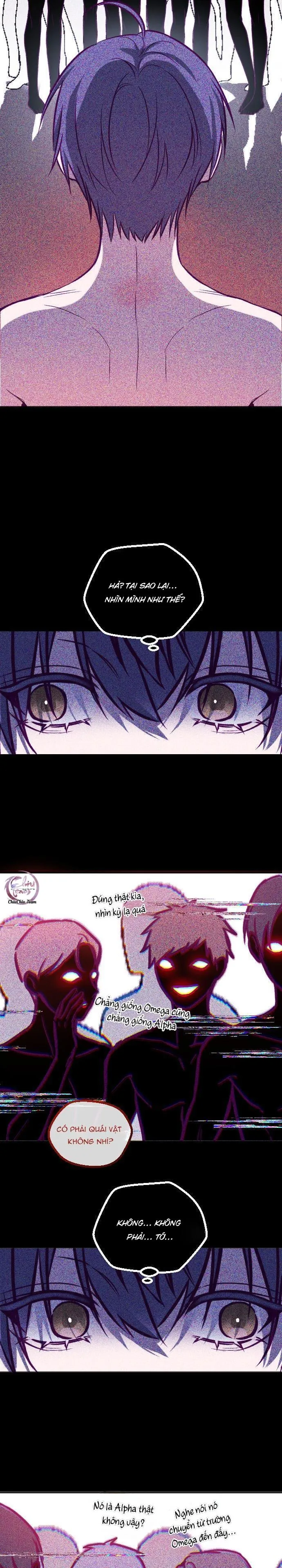 Người Tình Thế Thân Của Alpha Chapter 12 Trang 7
