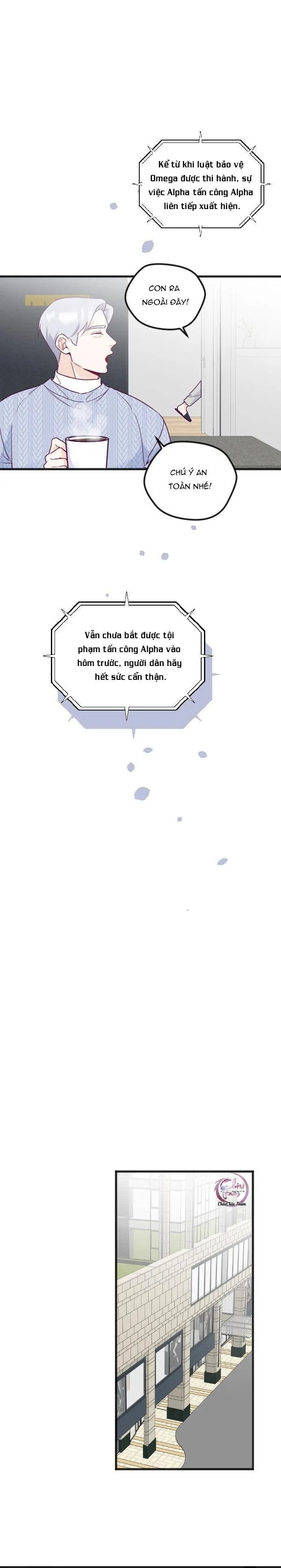 Người Tình Thế Thân Của Alpha Chapter 12 Trang 21