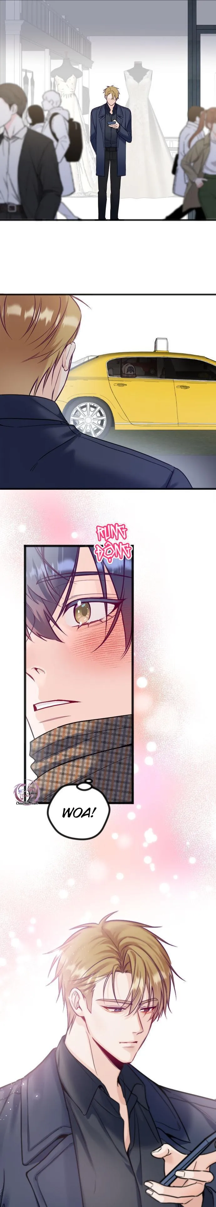 Người Tình Thế Thân Của Alpha Chapter 12 Trang 22