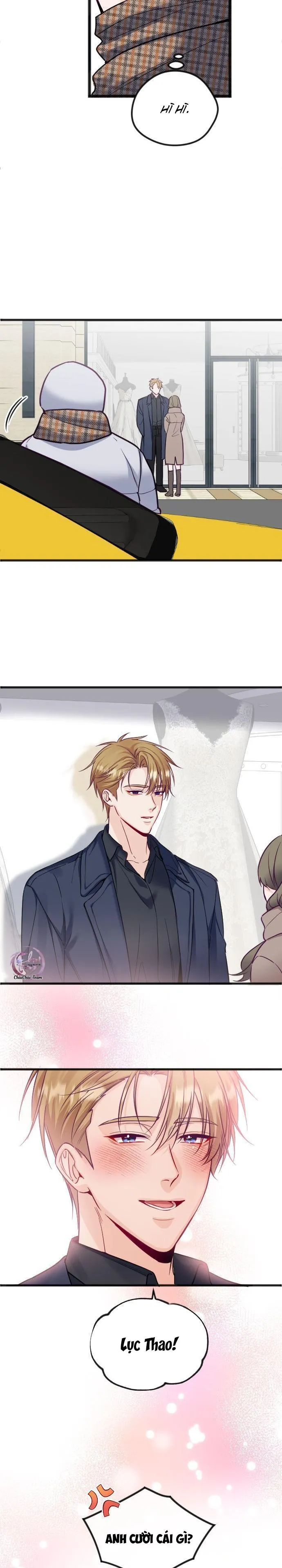 Người Tình Thế Thân Của Alpha Chapter 12 Trang 24