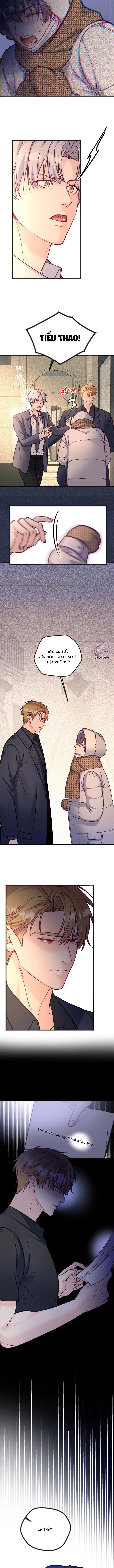 Người Tình Thế Thân Của Alpha Chapter 14 Trang 3