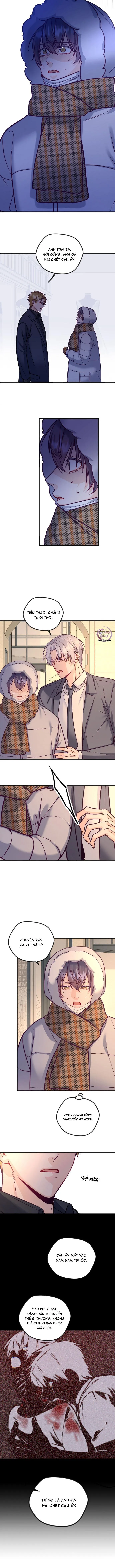 Người Tình Thế Thân Của Alpha Chapter 14 Trang 4