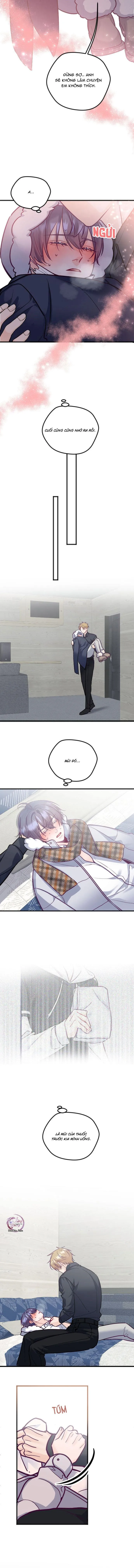 Người Tình Thế Thân Của Alpha Chapter 14 Trang 9