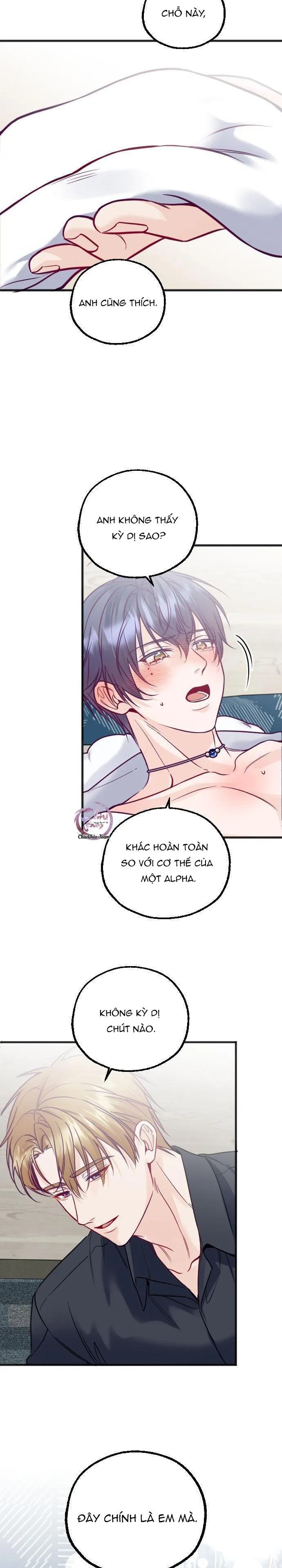 Người Tình Thế Thân Của Alpha Chapter 15 Trang 10