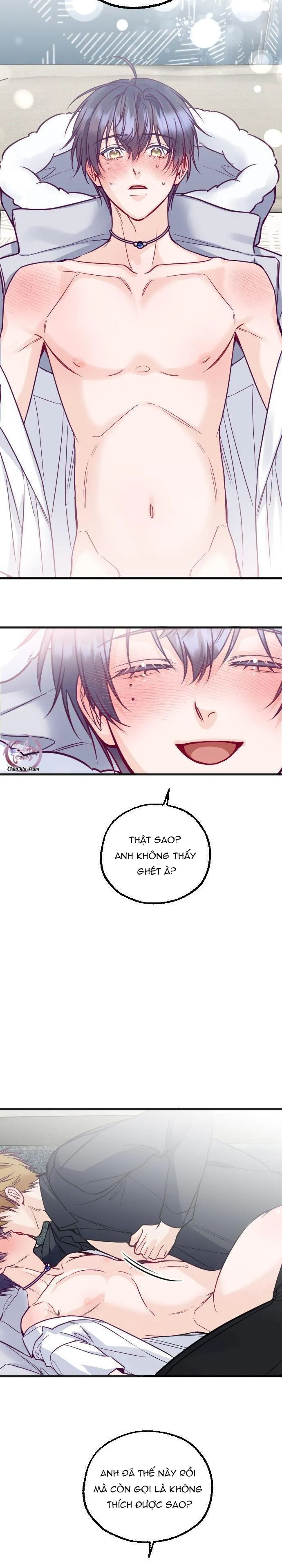 Người Tình Thế Thân Của Alpha Chapter 15 Trang 11