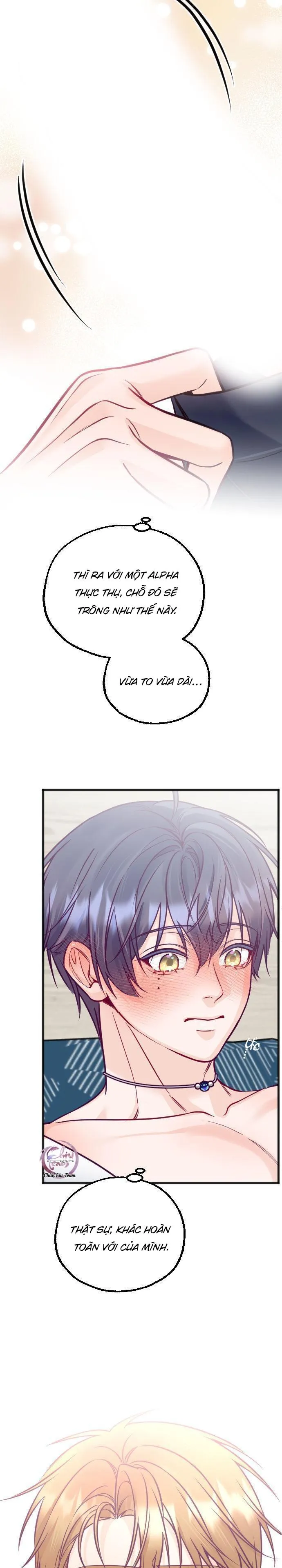 Người Tình Thế Thân Của Alpha Chapter 15 Trang 13