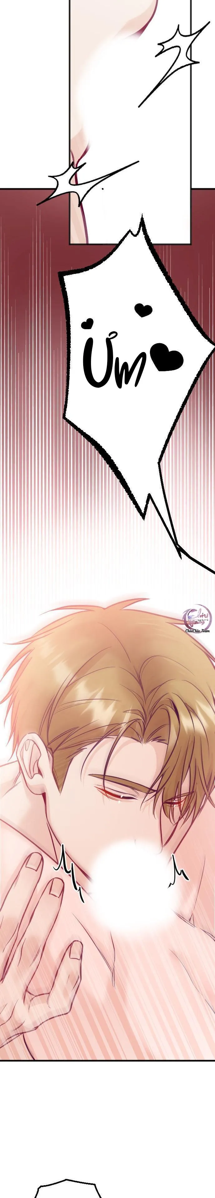 Người Tình Thế Thân Của Alpha Chapter 15 Trang 18